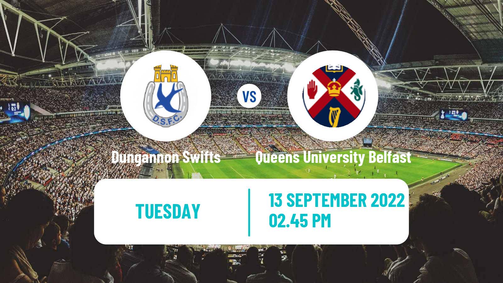 Soccer Northern Irish League Cup Dungannon Swifts - Queens University Belfast