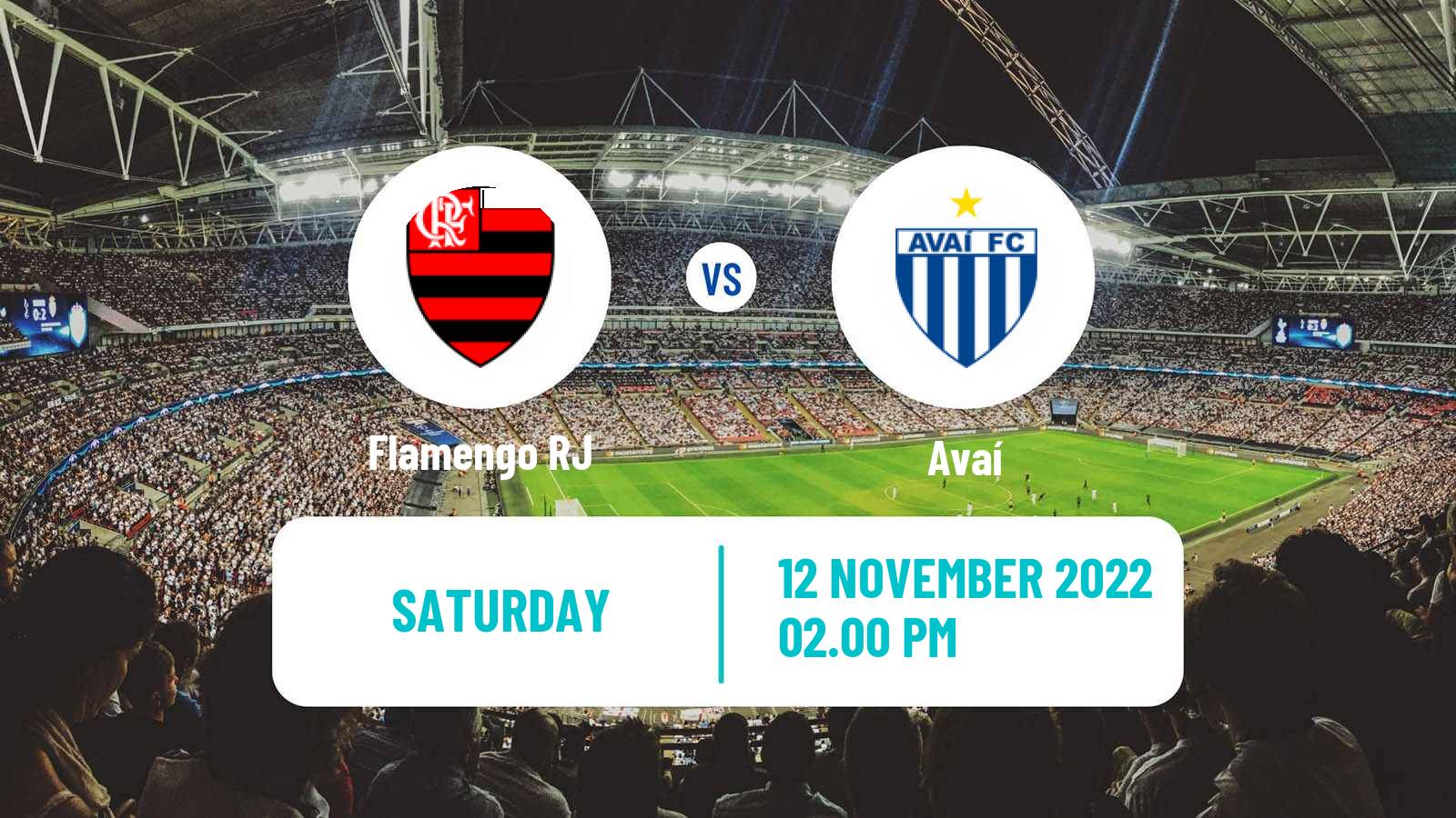 Soccer Brazilian Serie A Flamengo - Avaí
