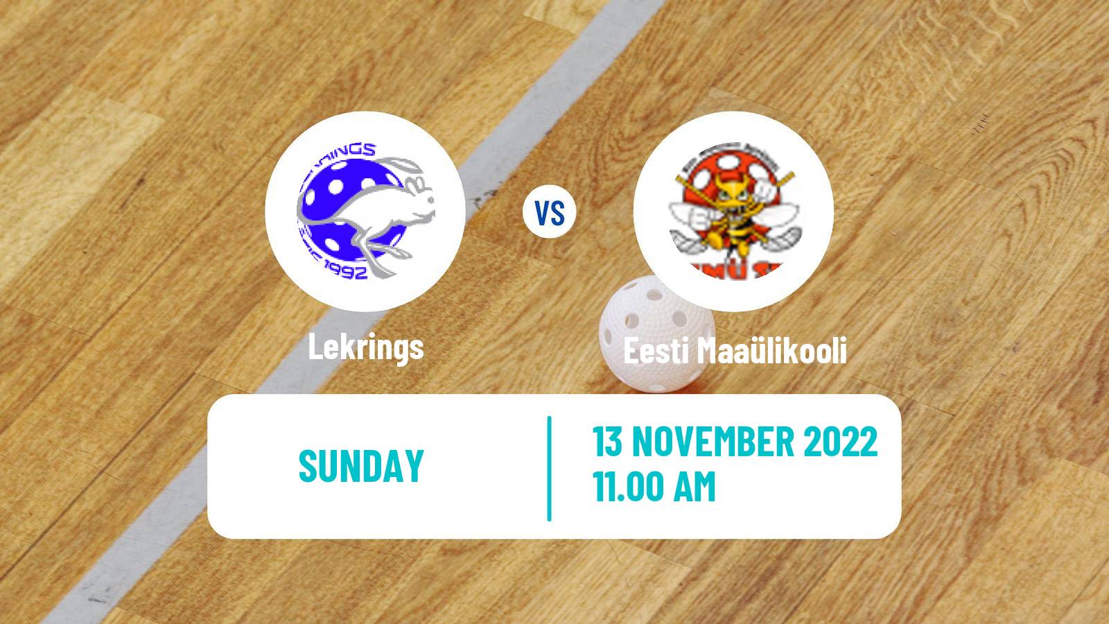 Floorball Latvian Elvi Liga Women Lekrings - Eesti Maaülikooli