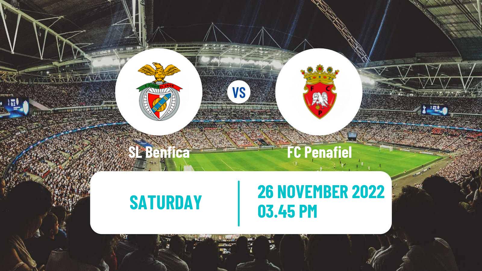 Soccer Portuguese League Cup Benfica - Penafiel