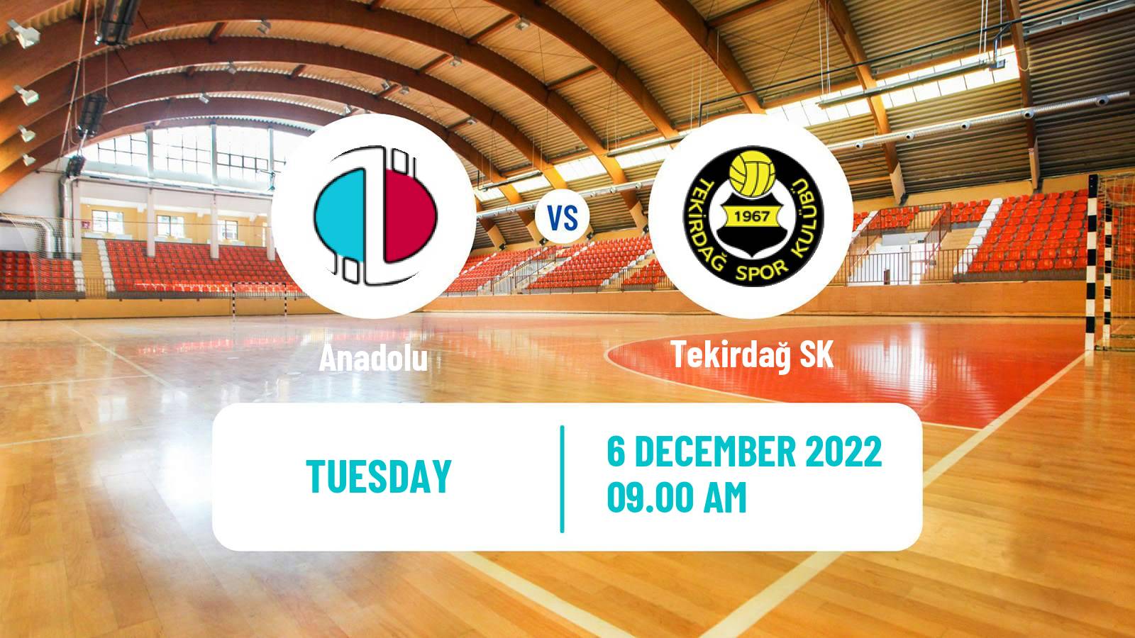 Handball Turkish Superlig Handball Women Anadolu - Tekirdağ