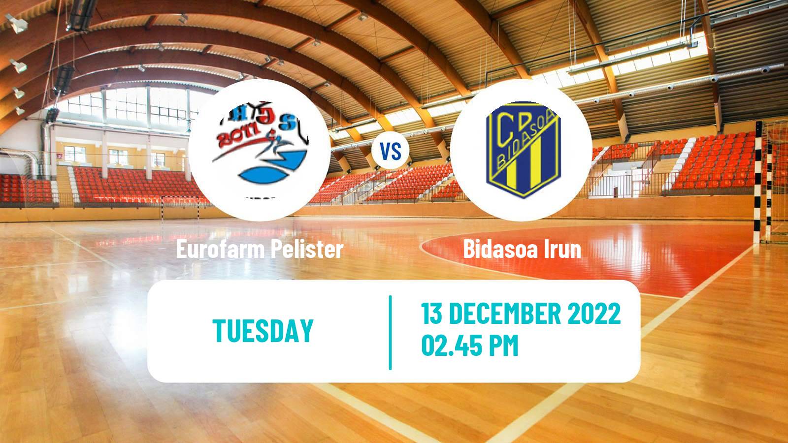 Handball EHF European League Eurofarm Pelister - Bidasoa Irun