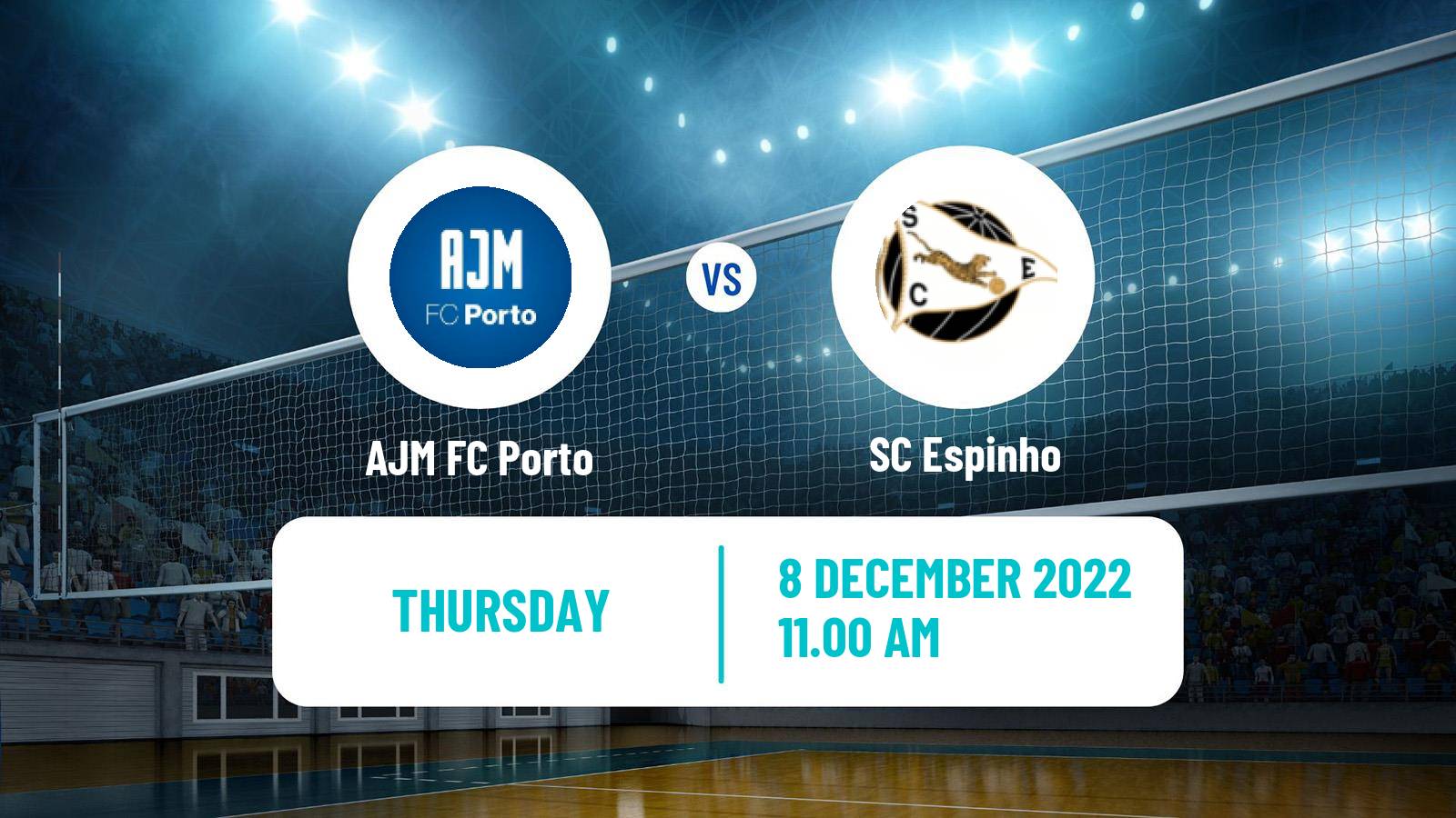 Volleyball Portuguese 1 Divisao Volleyball Women AJM FC Porto - SC Espinho