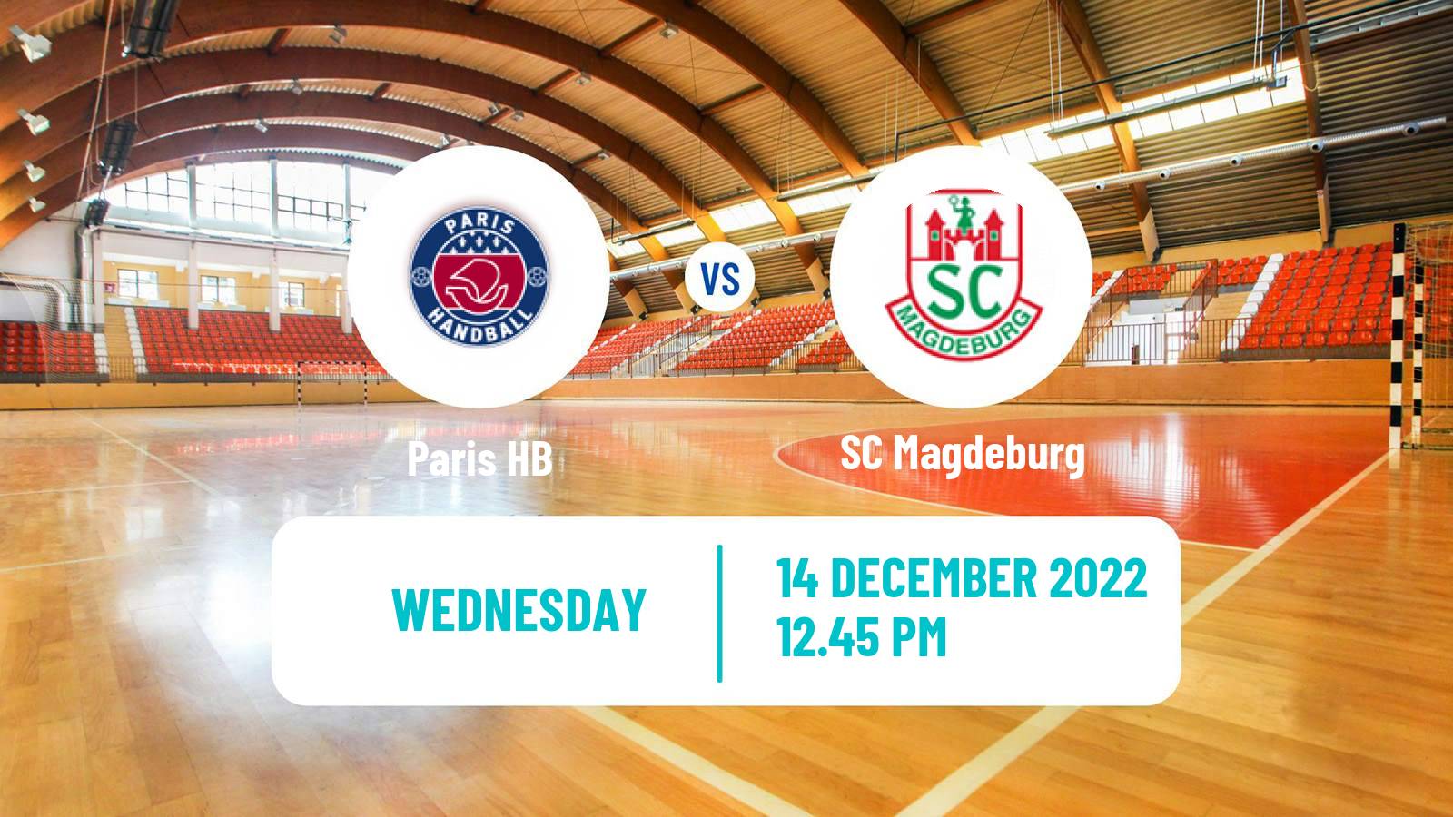 Handball EHF Champions League Paris Saint-Germain - Magdeburg