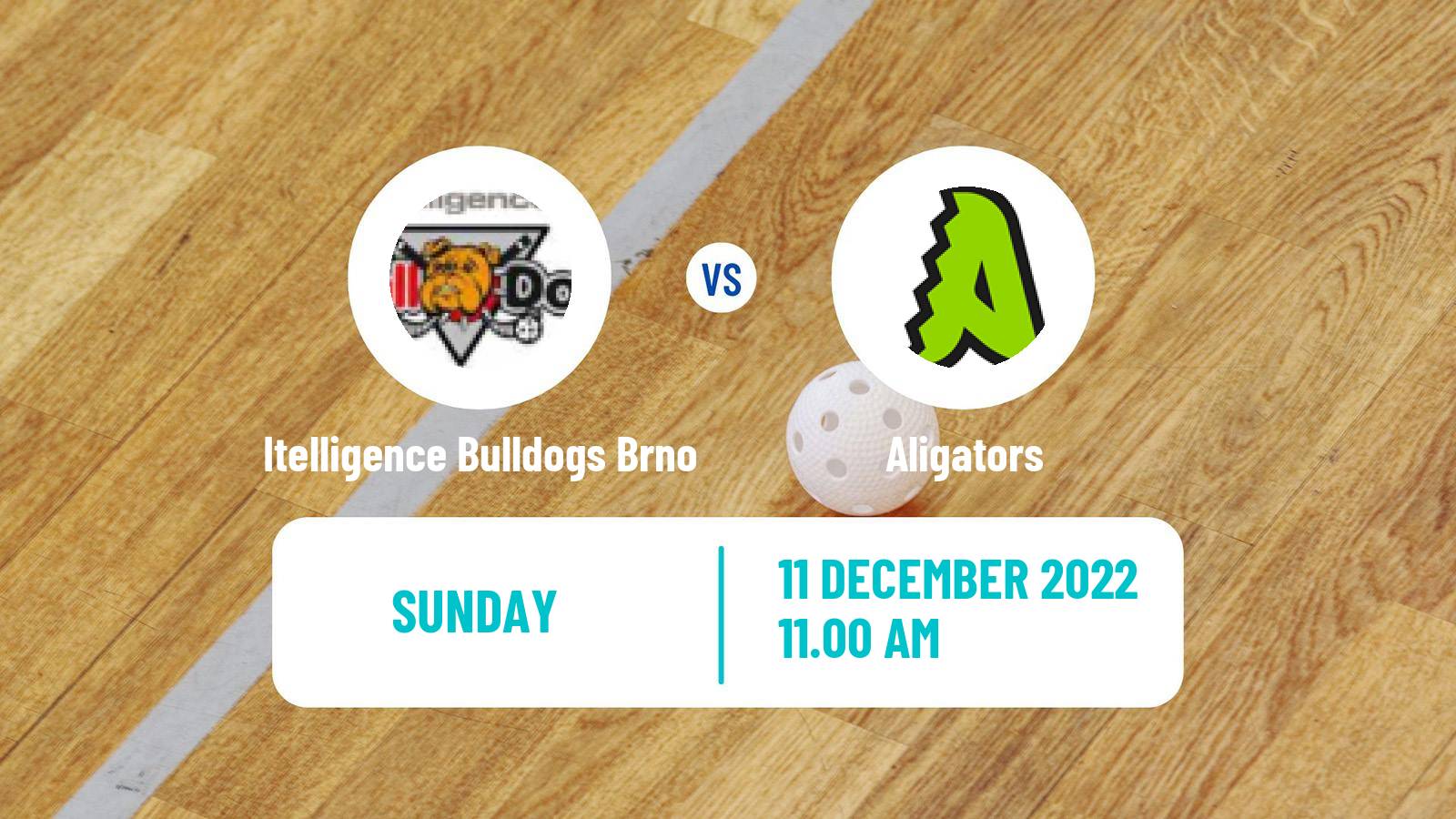 Floorball Czech 1 Liga Floorball Itelligence Bulldogs Brno - Aligators