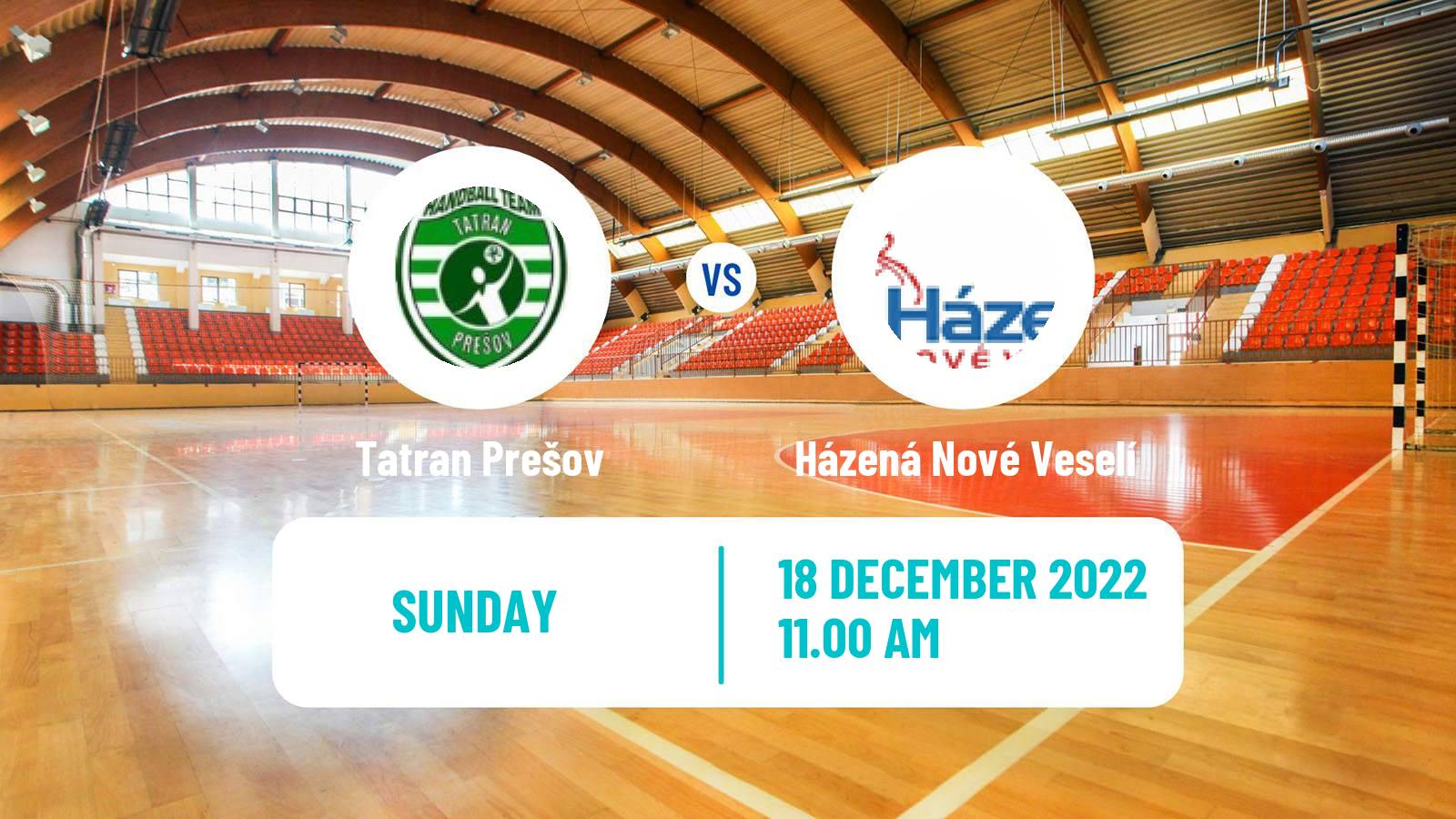 Handball Czech Extraliga Handball Tatran Prešov - Házená Nové Veselí