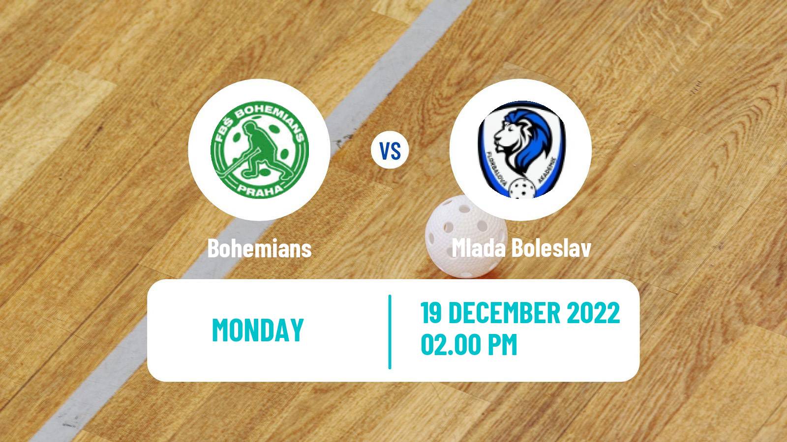 Floorball Czech Extraliga Floorball Women Bohemians - Mlada Boleslav
