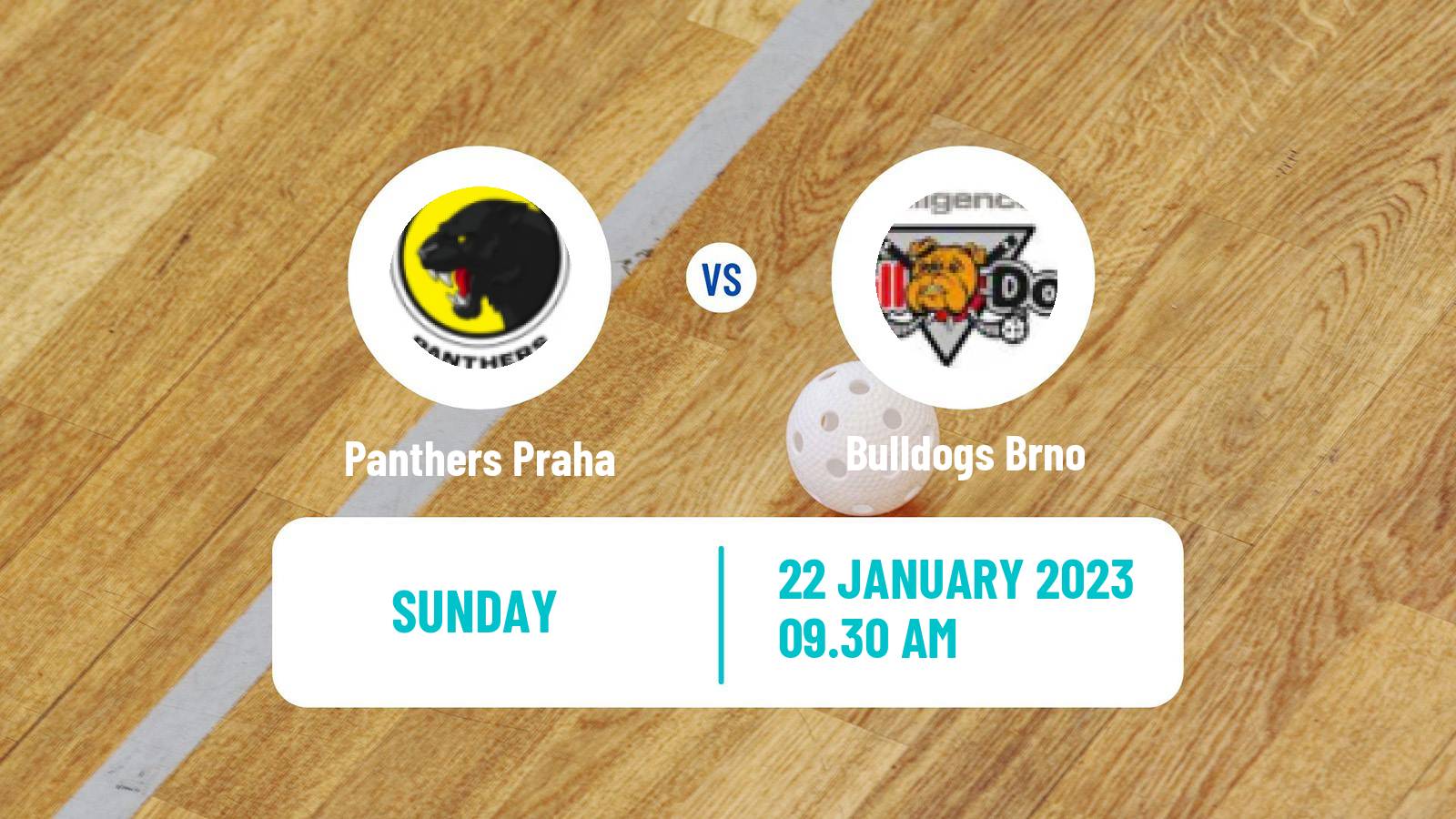 Floorball Czech Extraliga Floorball Women Panthers Praha - Bulldogs Brno