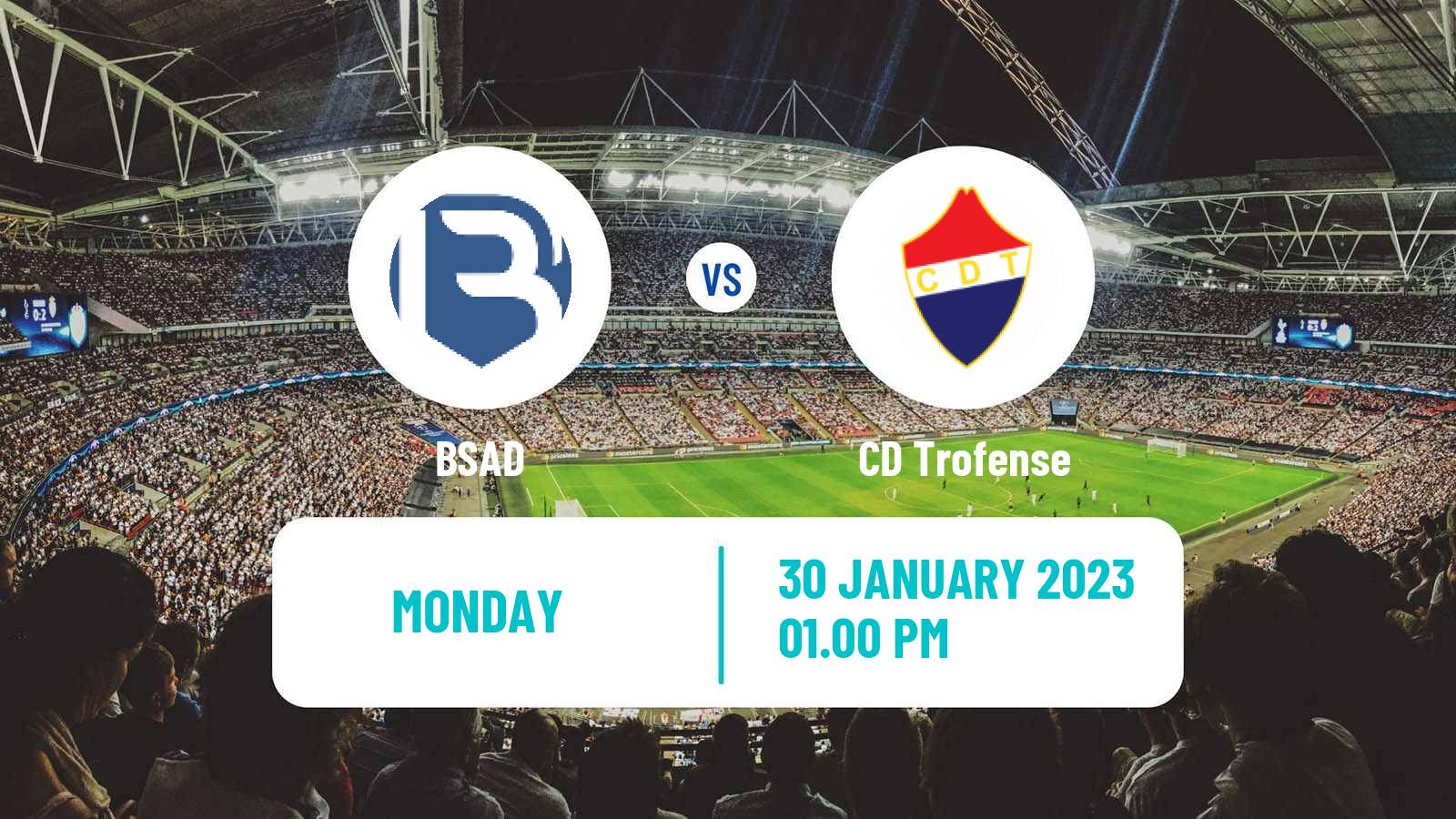 Soccer Portuguese Liga 2 BSAD - Trofense