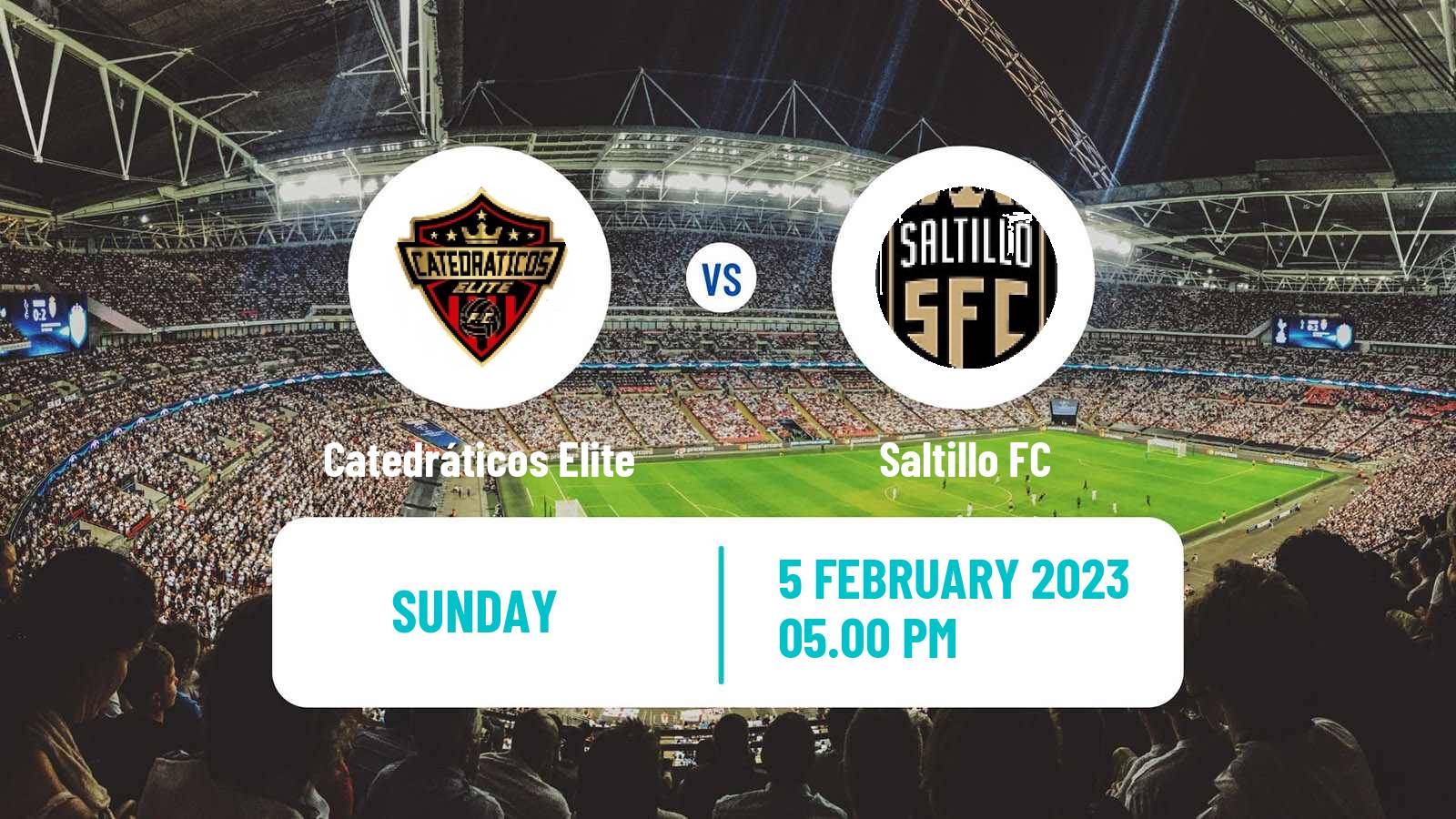 Soccer Mexican Liga Premier Serie A Catedráticos Elite - Saltillo
