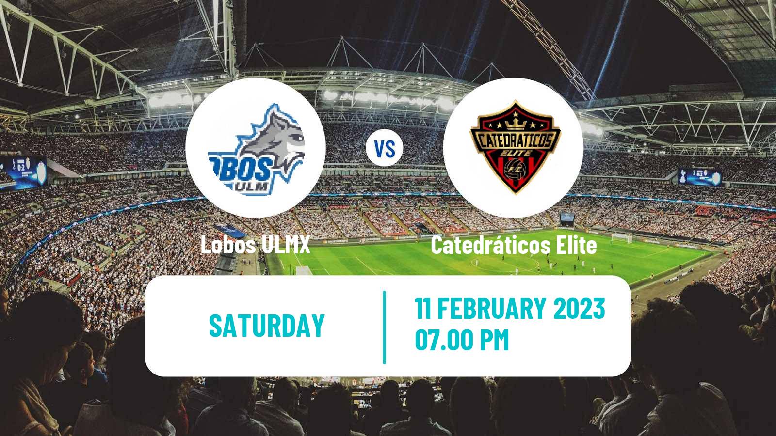 Soccer Mexican Liga Premier Serie A Lobos ULMX - Catedráticos Elite