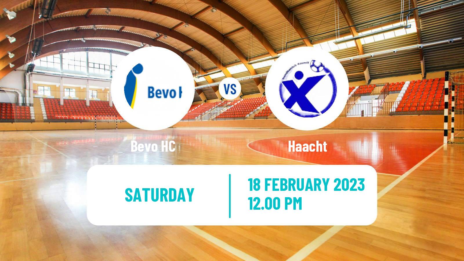 Handball BeNe League Handball Bevo HC - Haacht