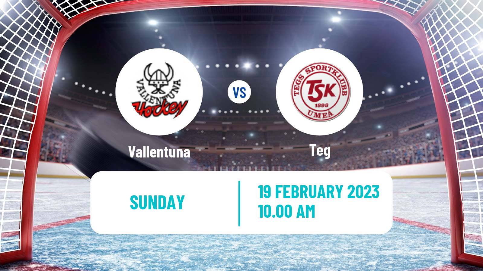Hockey Swedish HockeyEttan Norra Var Vallentuna - Teg