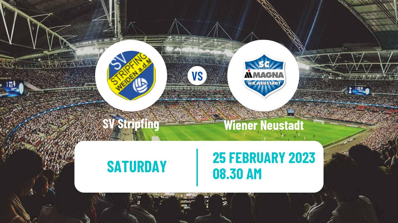 Soccer Austrian Regionalliga East Stripfing - Wiener Neustadt