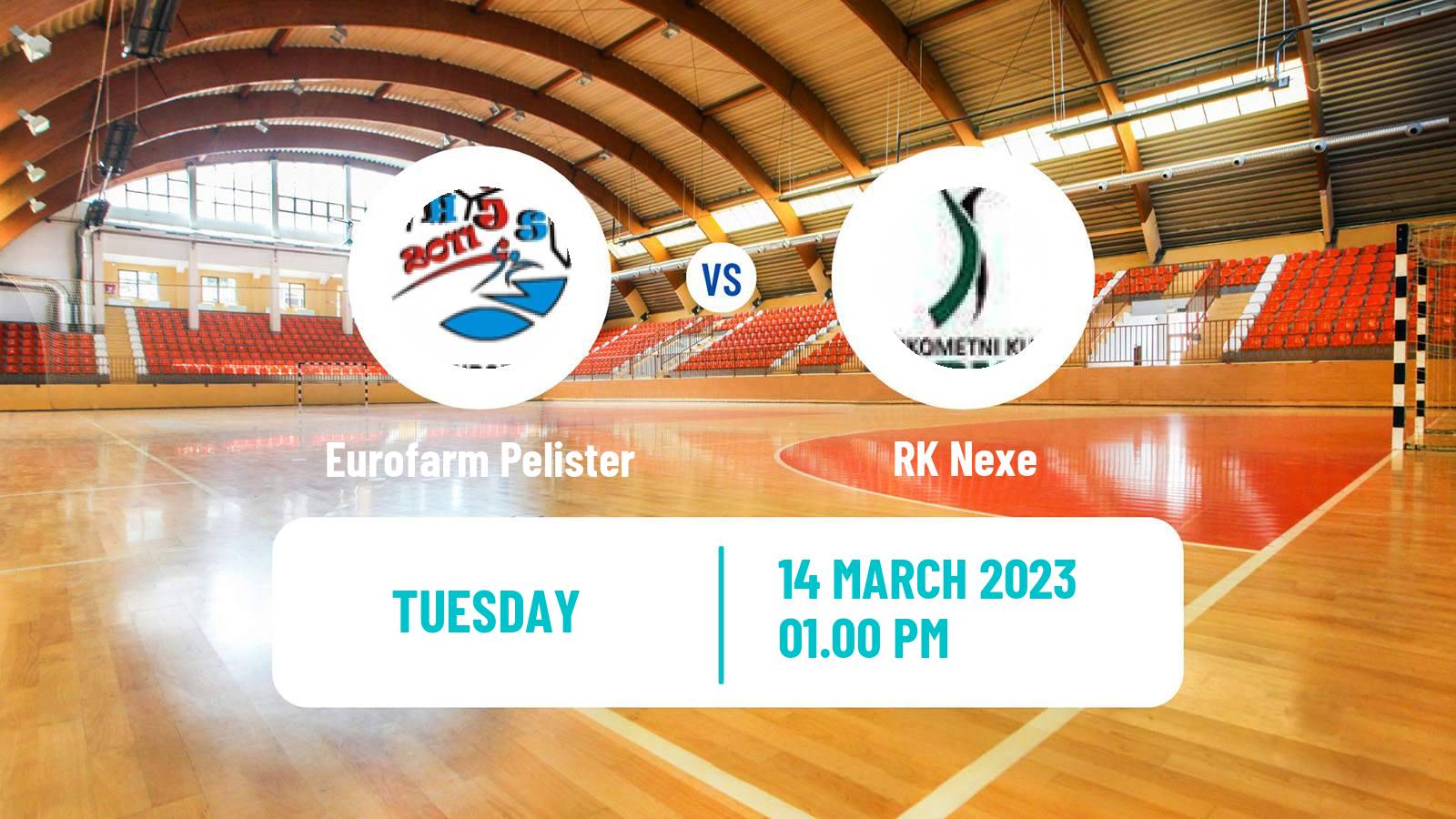 Handball SEHA Liga Eurofarm Pelister - Nexe