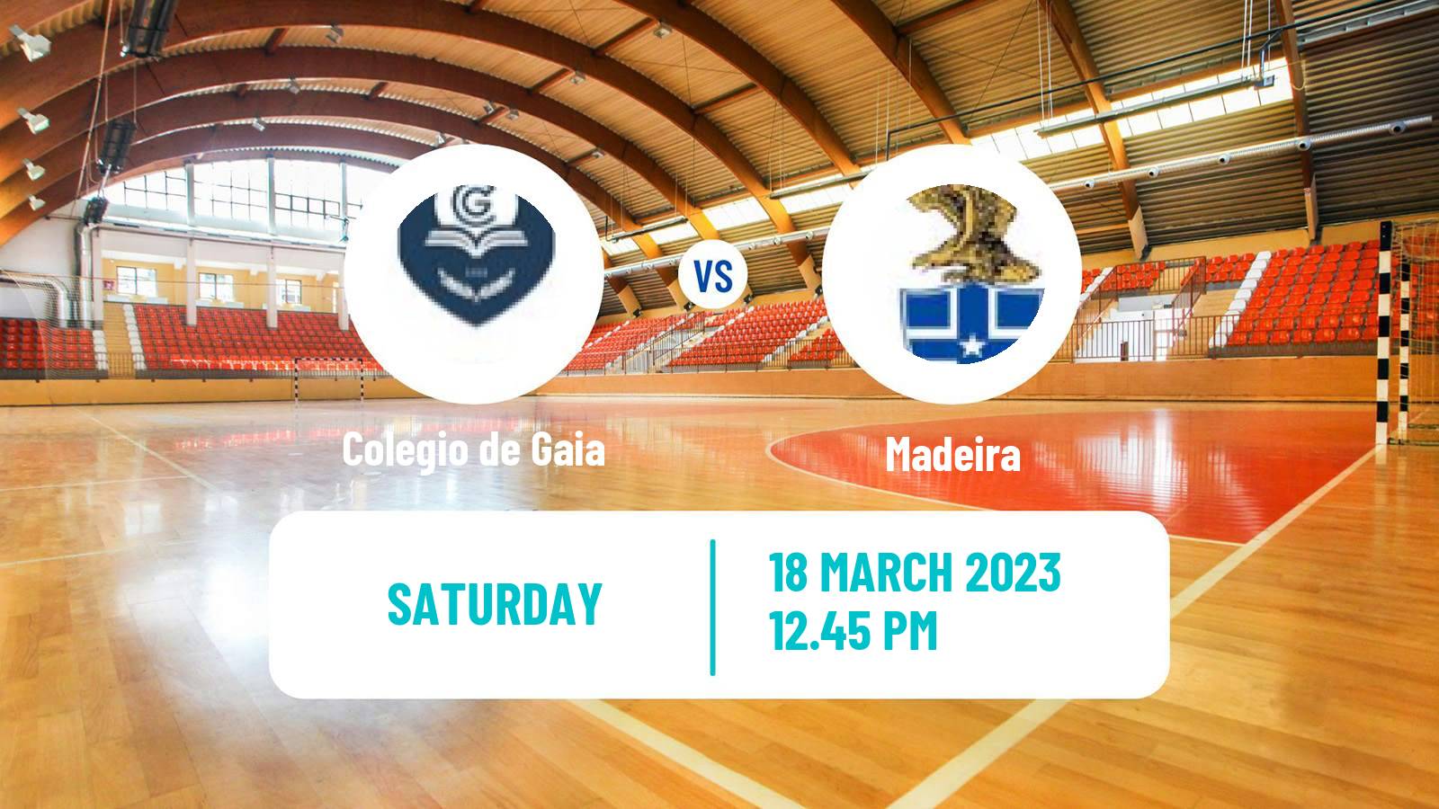 Handball Portuguese 1a Divisao Handball Women Colegio de Gaia - Madeira