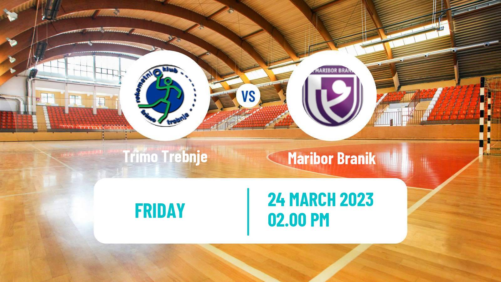 Handball Slovenian 1 NLB Liga Handball Trimo Trebnje - Maribor Branik