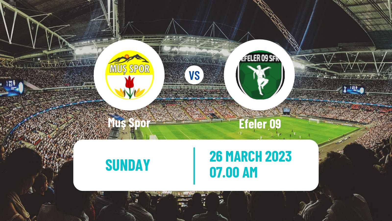 Soccer Turkish 3 Lig Group 3 Muş Spor - Efeler 09