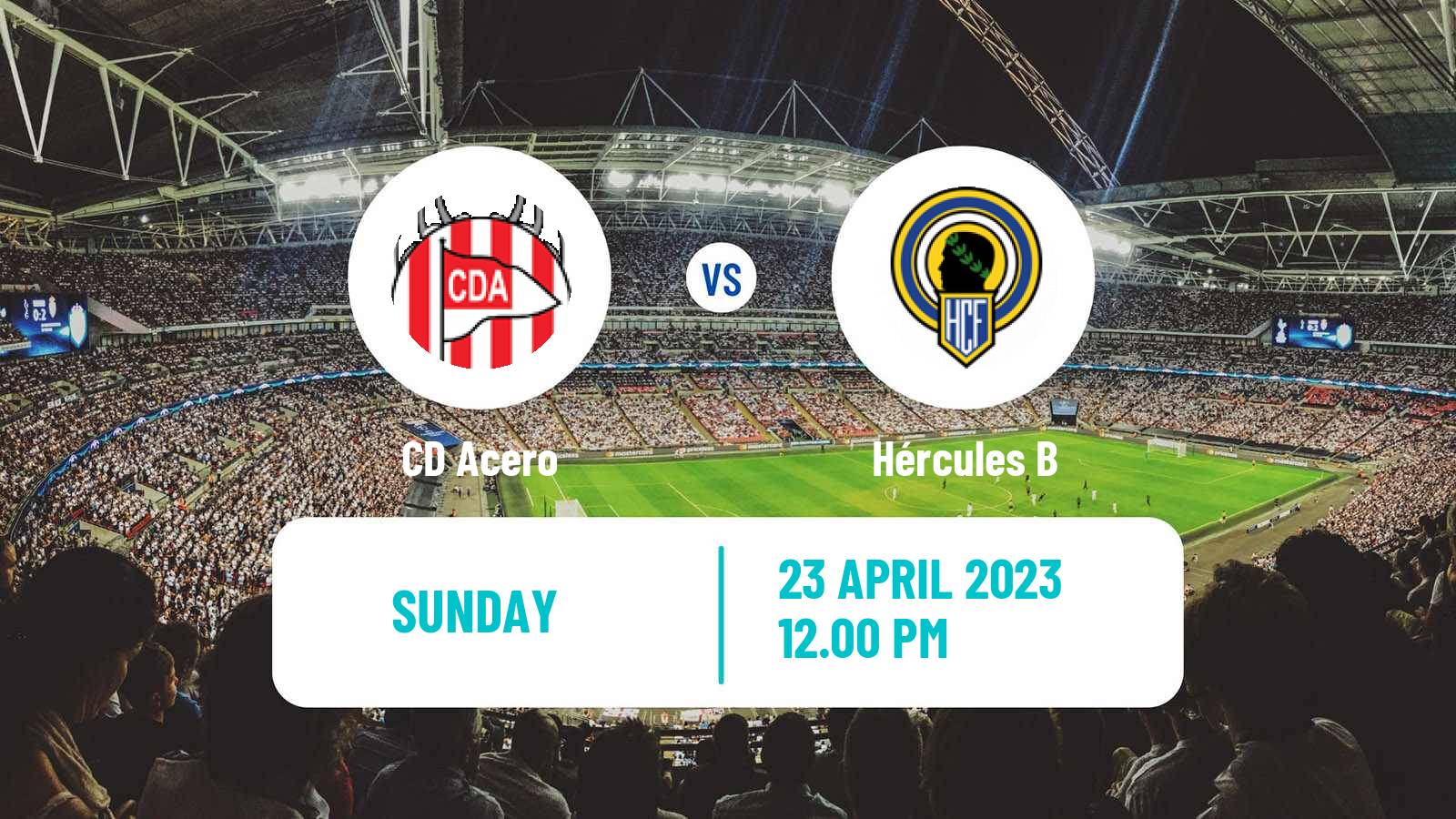 Soccer Spanish Tercera RFEF - Group 6 Acero - Hércules B