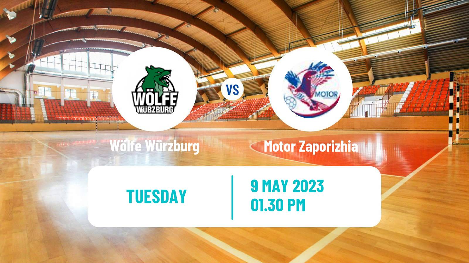 Handball German 2 Bundesliga Handball Wölfe Würzburg - Motor Zaporizhia