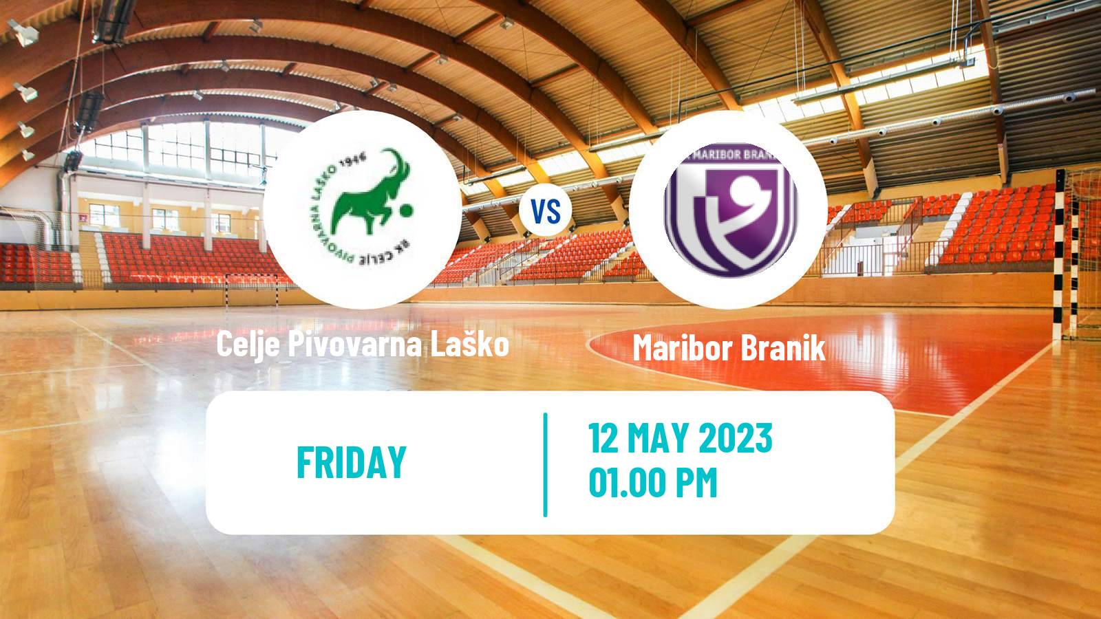 Handball Slovenian 1 NLB Liga Handball Celje Pivovarna Laško - Maribor Branik