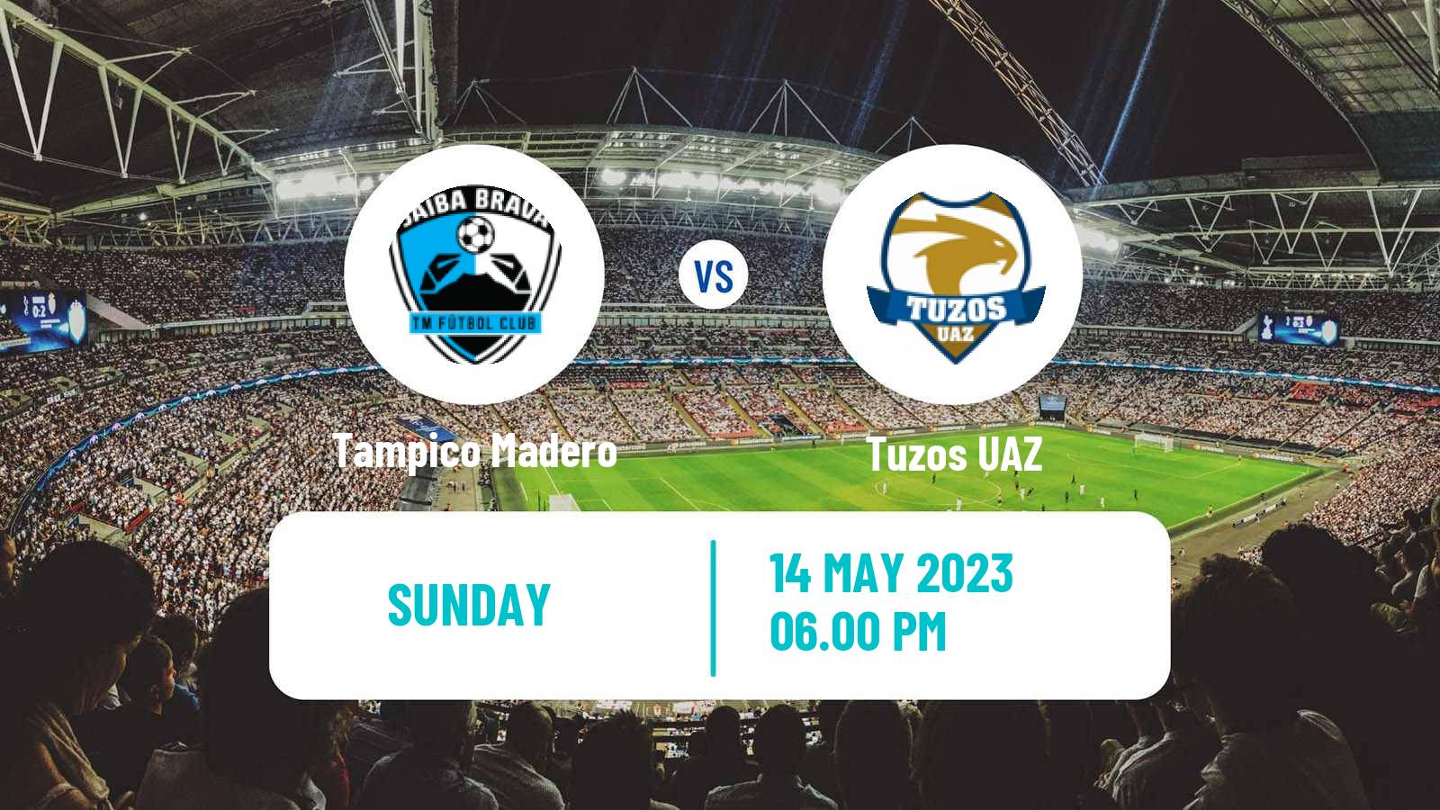 Soccer Mexican Liga Premier Serie A Jaiba Brava - Tuzos UAZ