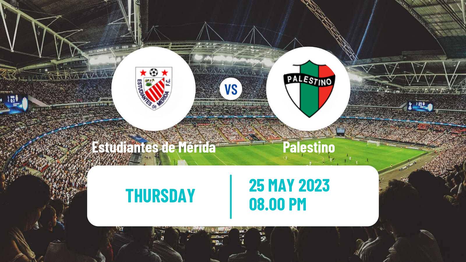 Soccer Copa Sudamericana Estudiantes de Mérida - Palestino