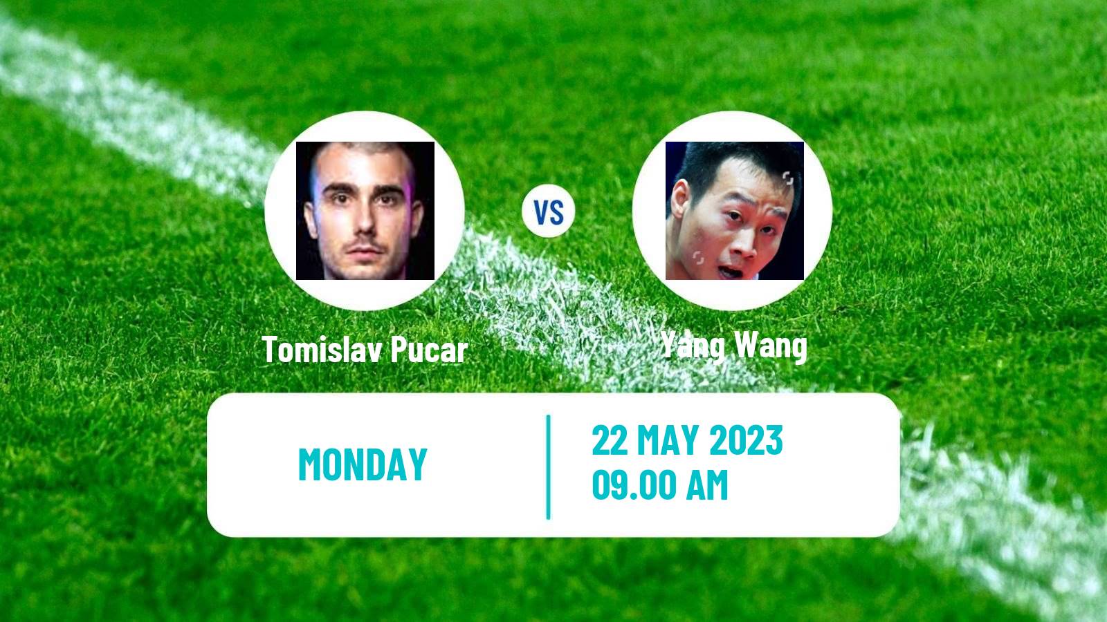 Table tennis World Championships Men Tomislav Pucar - Yang Wang