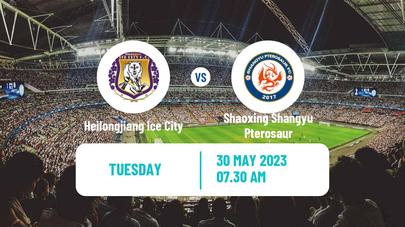 Soccer Chinese FA Cup Heilongjiang Ice City - Shaoxing Shangyu Pterosaur