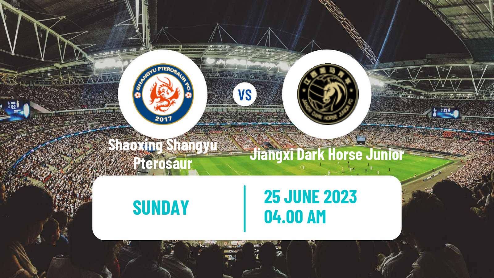 Soccer Chinese Yi League Shaoxing Shangyu Pterosaur - Wenzhou Professional