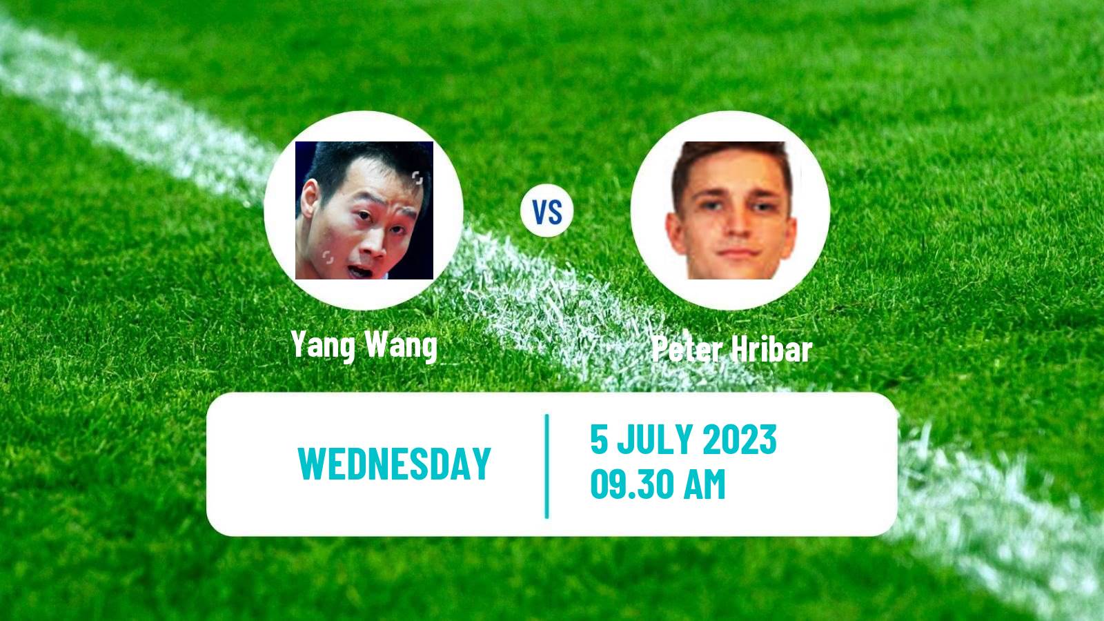 Table tennis Wtt Star Contender Ljubljana Men Yang Wang - Peter Hribar