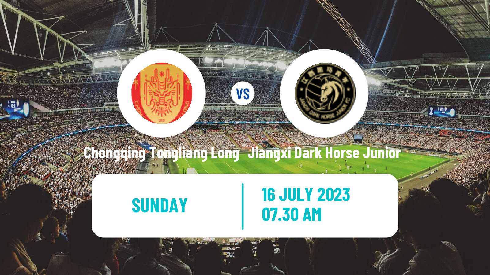Soccer Chinese Yi League Chongqing Tongliang Long - Wenzhou Professional