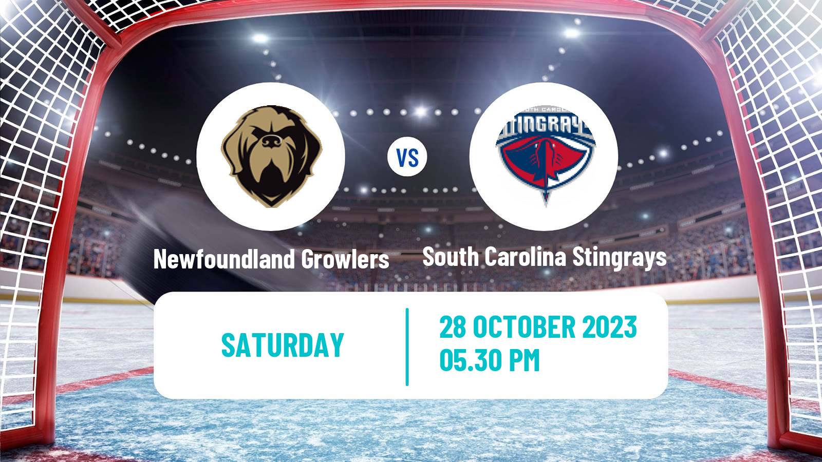 Hockey ECHL Newfoundland Growlers - South Carolina Stingrays