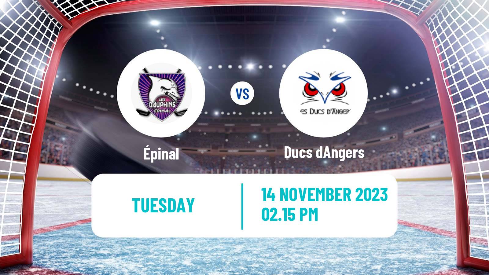 Hockey French Hockey Cup Épinal - Angers