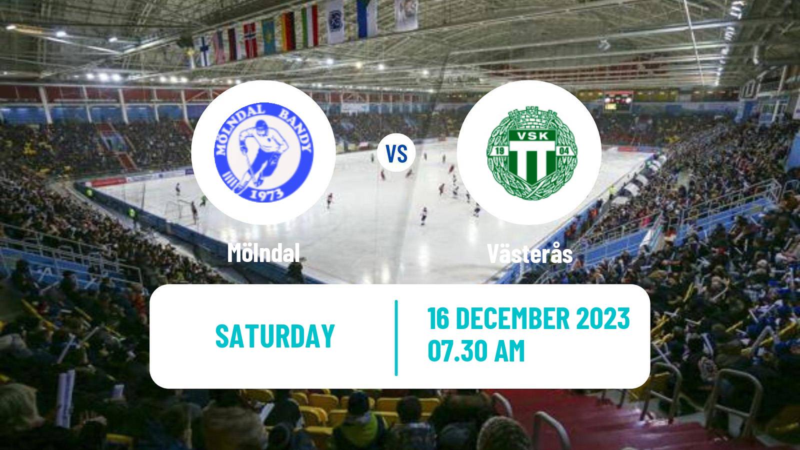 Bandy Swedish Elitserien Bandy Women Mölndal - Västerås