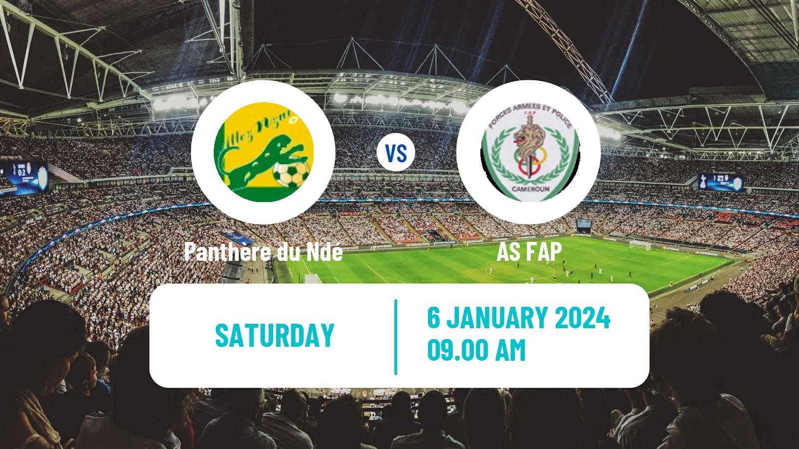 Soccer Cameroon Elite Two Panthère du Ndé - FAP