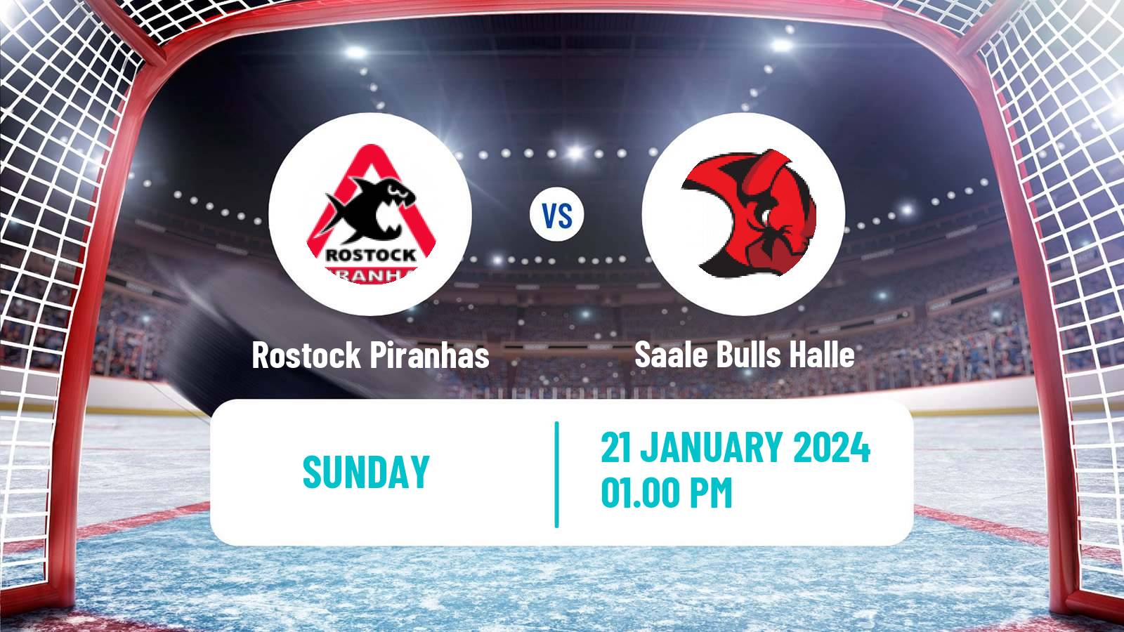 Hockey German Oberliga North Hockey Rostock Piranhas - Saale Bulls Halle