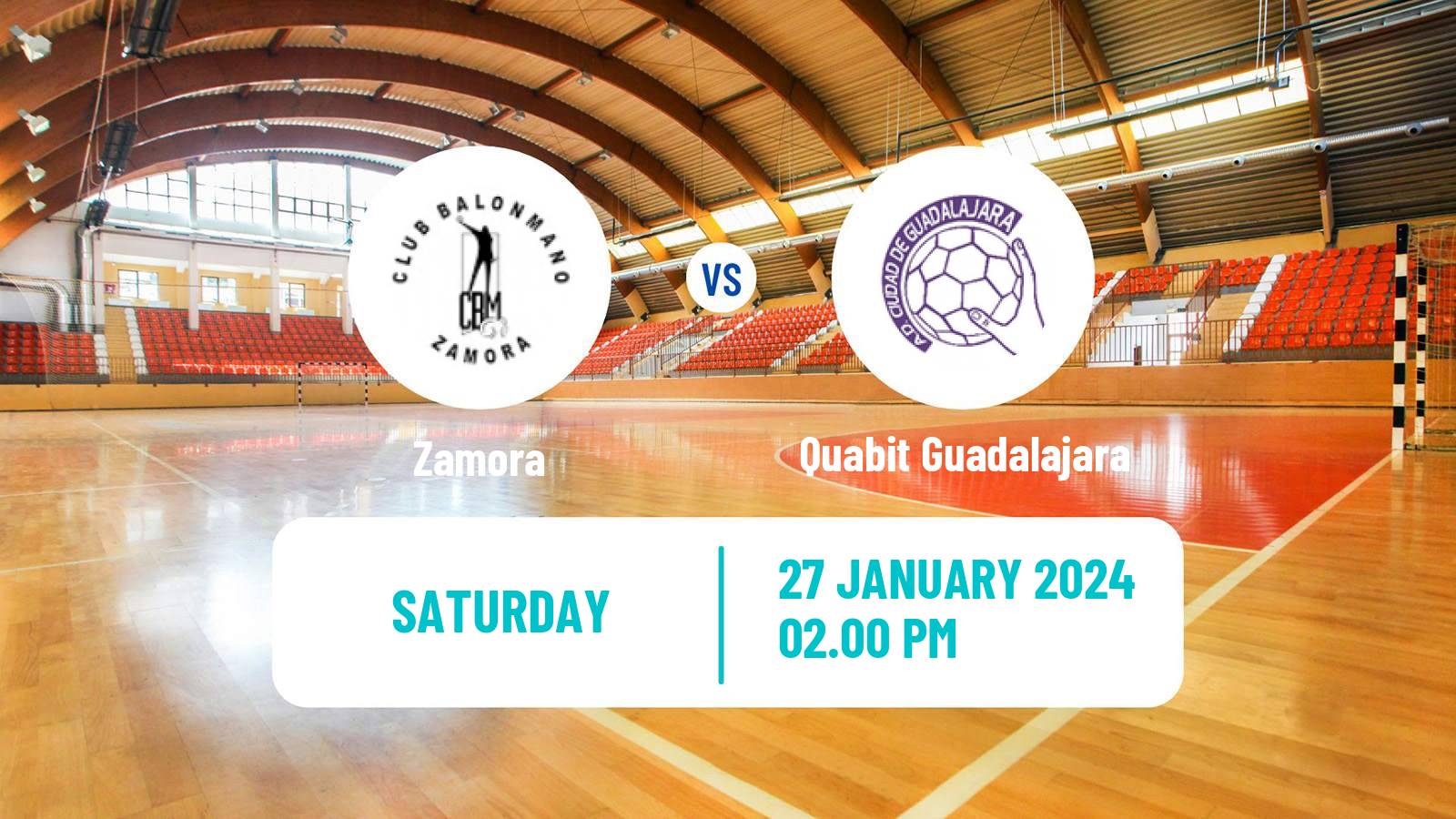 Handball Spanish Division de Honor Plata Handball Zamora - Quabit Guadalajara