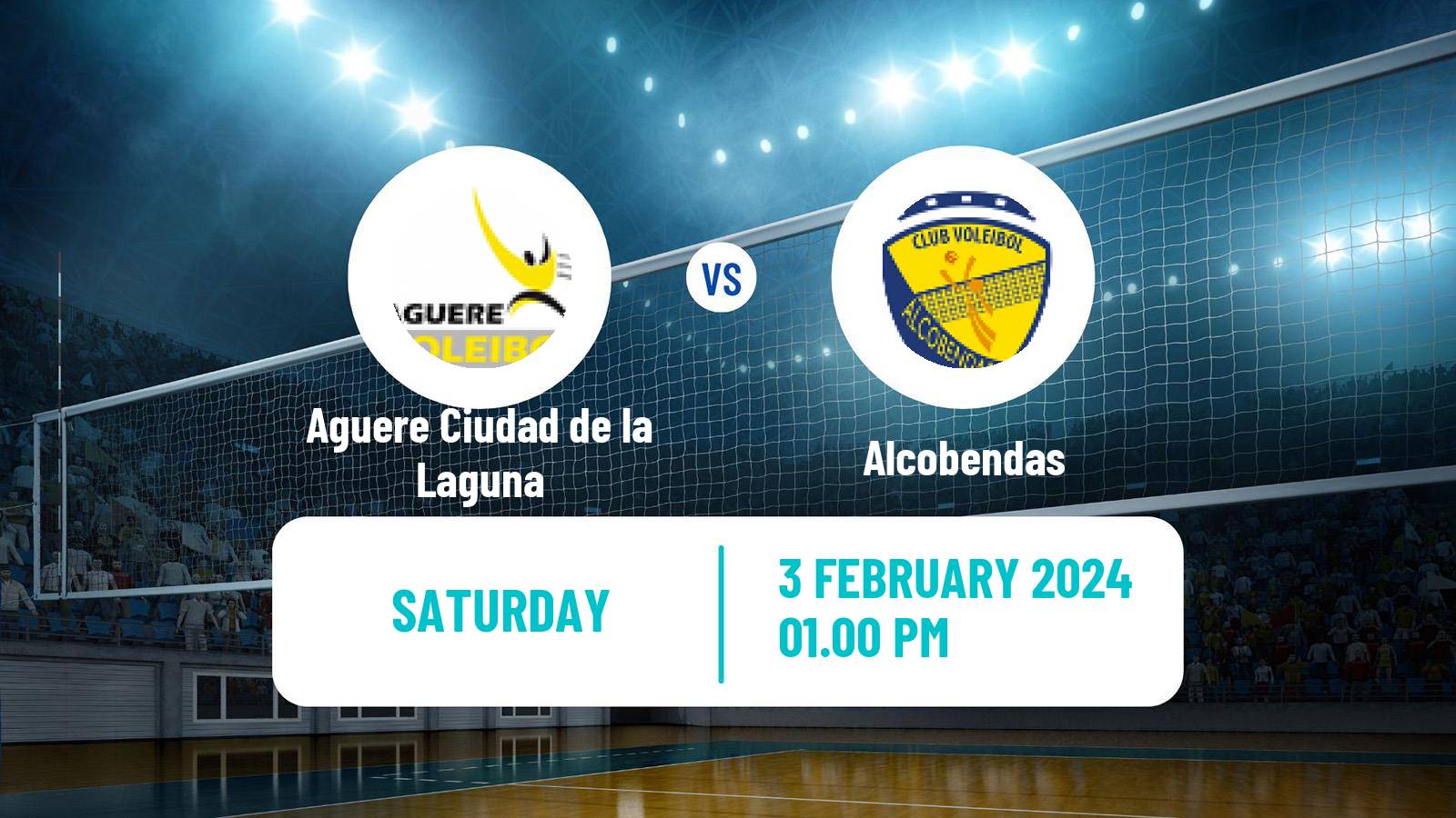 Volleyball Spanish SuperLiga Volleyball Women Aguere Ciudad de la Laguna - Alcobendas