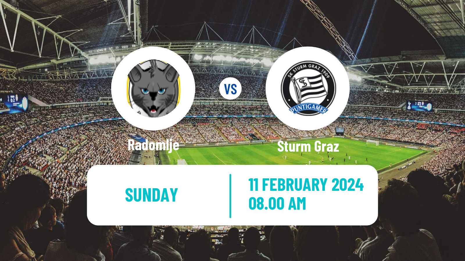 Soccer Club Friendly Women Radomlje - Sturm Graz