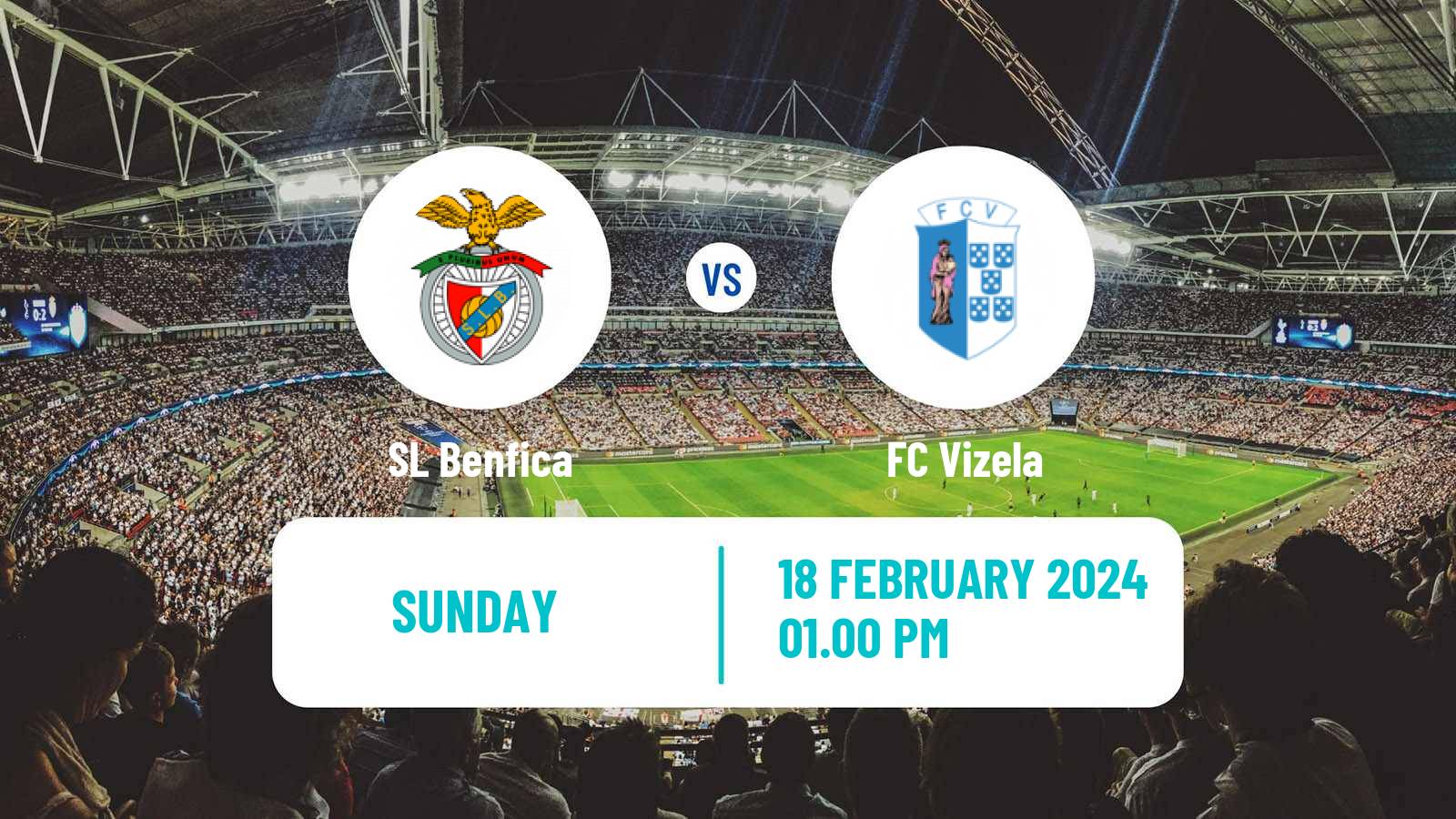 Soccer Liga Portugal Benfica - Vizela
