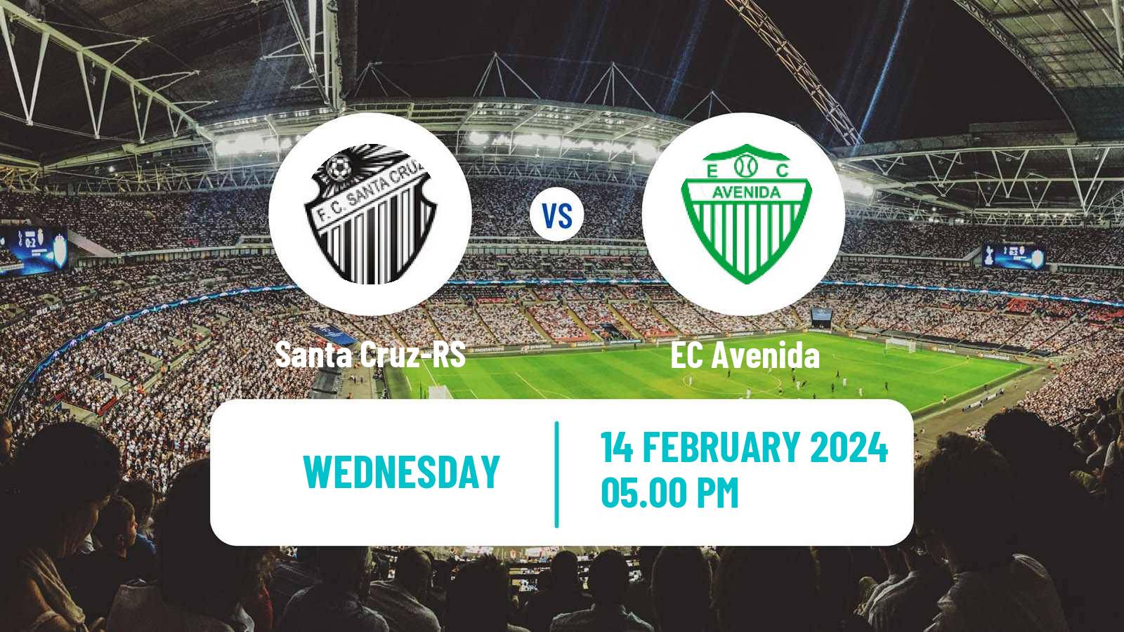 Soccer Brazilian Campeonato Gaucho Santa Cruz-RS - Avenida