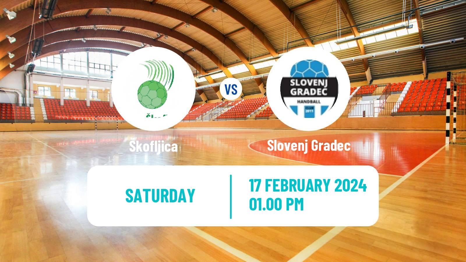 Handball Slovenian 1 NLB Liga Handball Škofljica - Slovenj Gradec
