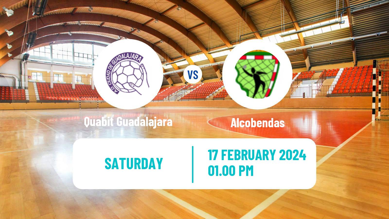 Handball Spanish Division de Honor Plata Handball Quabit Guadalajara - Alcobendas
