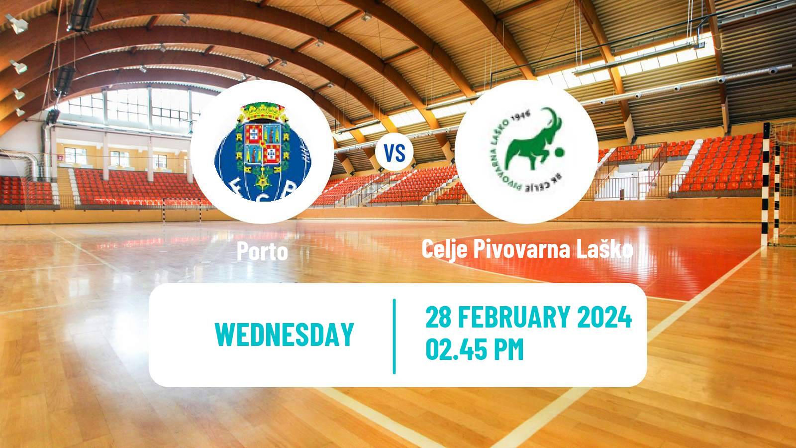 Handball EHF Champions League Porto - Celje Pivovarna Laško