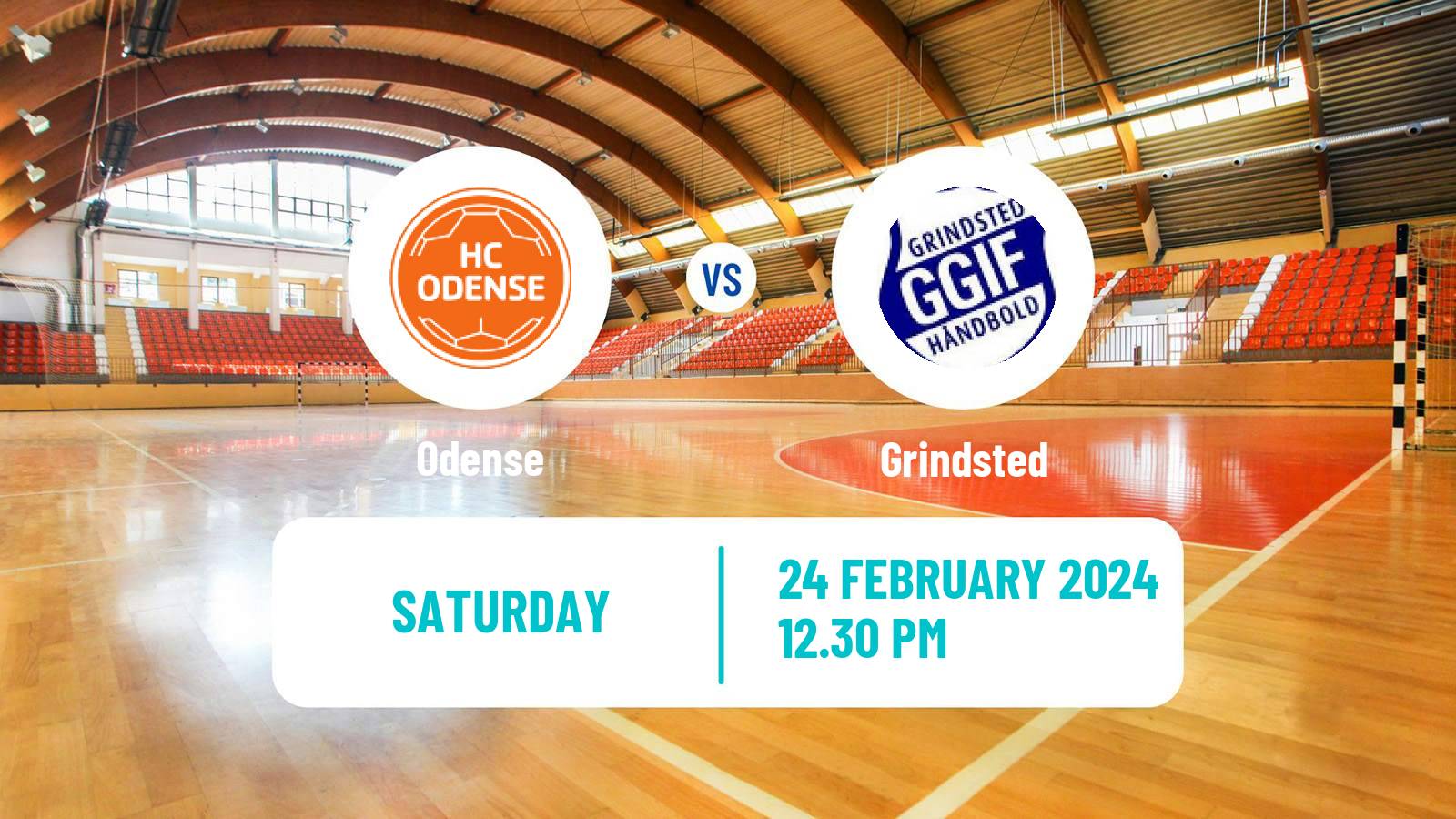 Handball Danish 1 Division Handball Odense - Grindsted