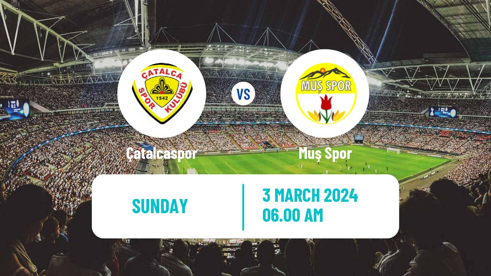 Soccer Turkish 3 Lig Group 4 Çatalcaspor - Muş Spor