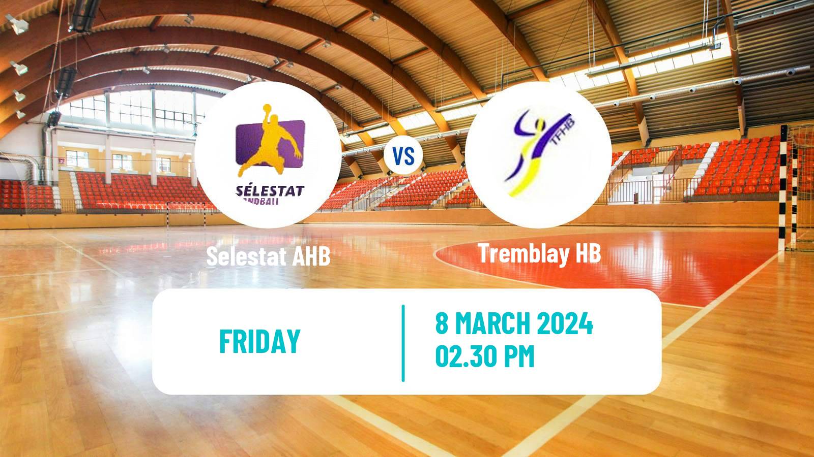 Handball French Proligue Handball Selestat AHB - Tremblay