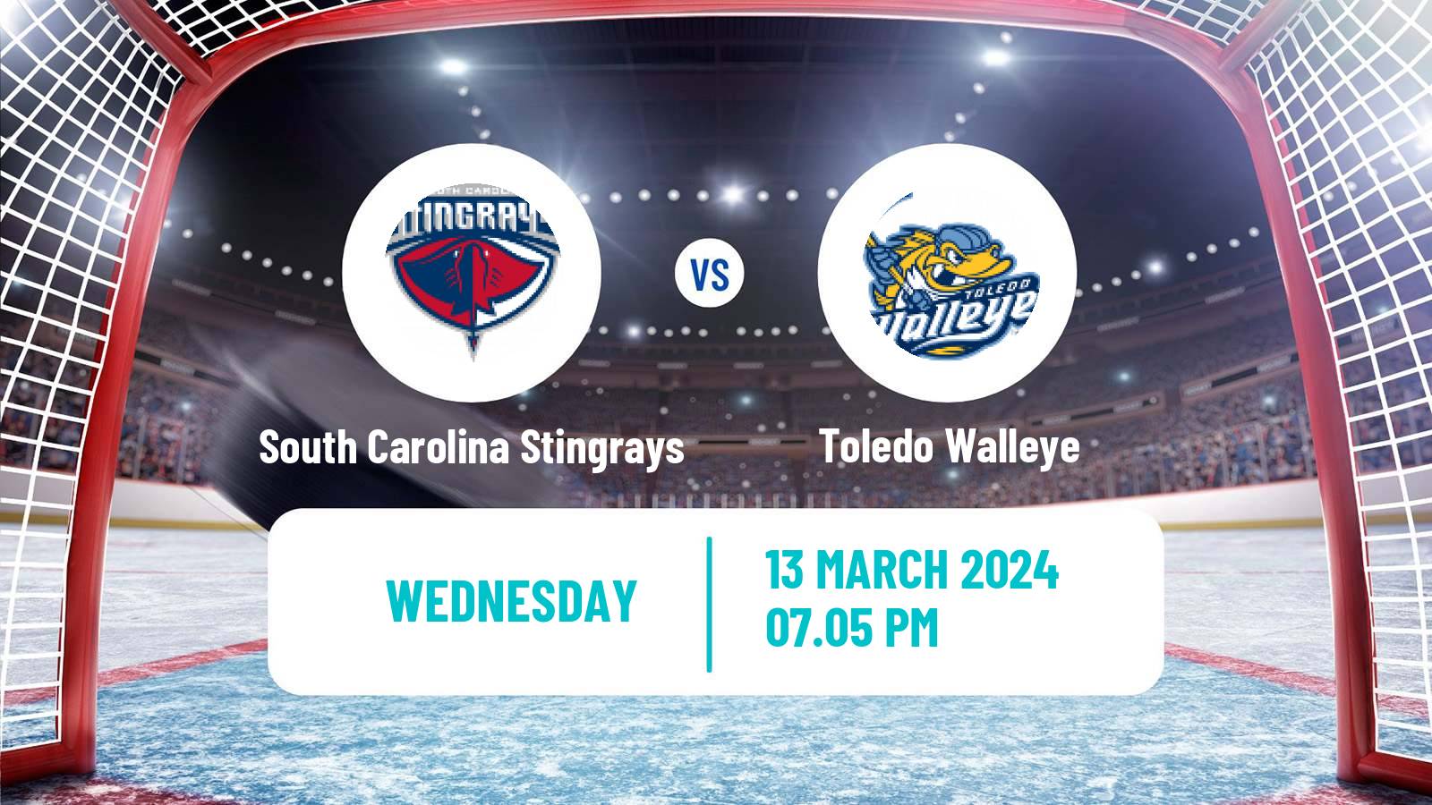 Hockey ECHL South Carolina Stingrays - Toledo Walleye