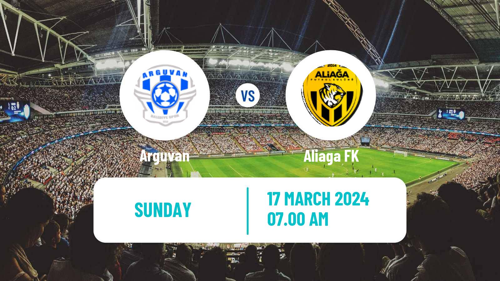 Soccer Turkish 3 Lig Group 1 Arguvan - Aliaga